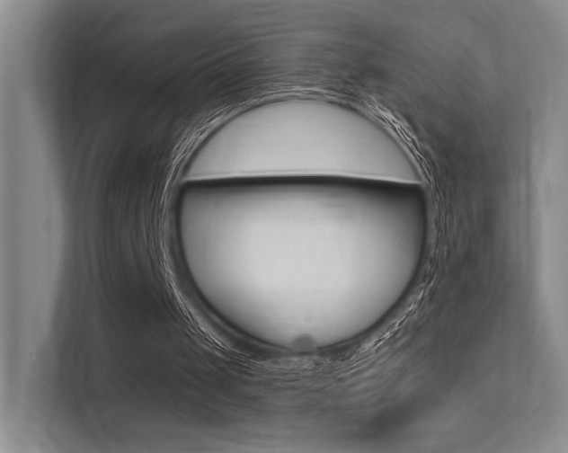 X0000113360049200909151015