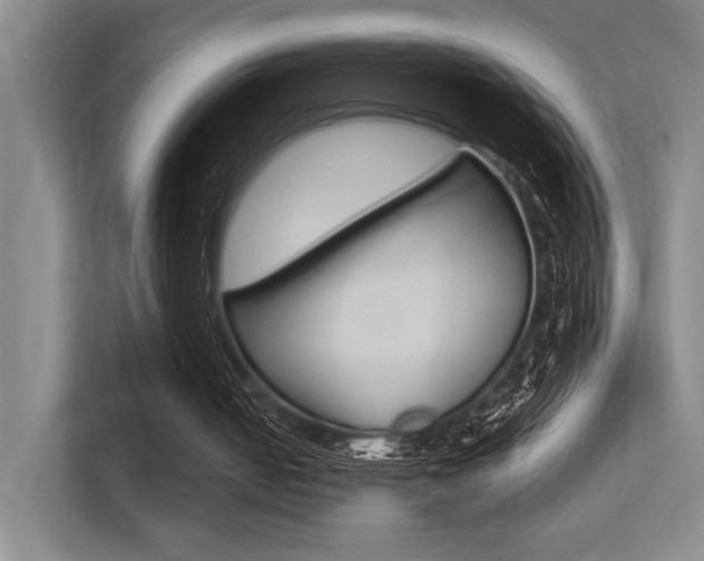 X0000113360050200909151015