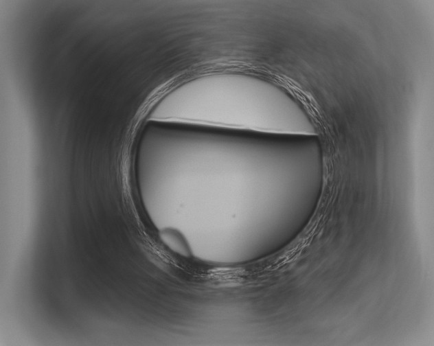 X0000113360051200909151015