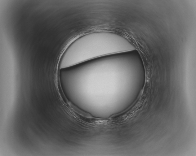 X0000113360052200909151015