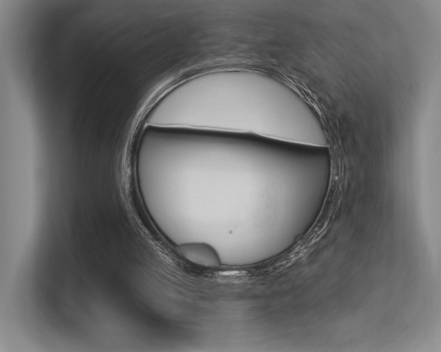 X0000113360053200909151015