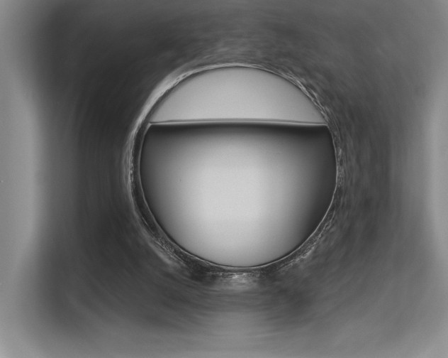 X0000113360056200909151015