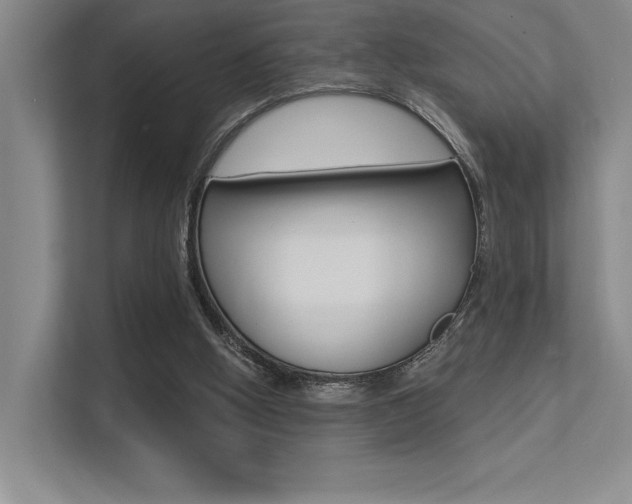 X0000113360058200909151015