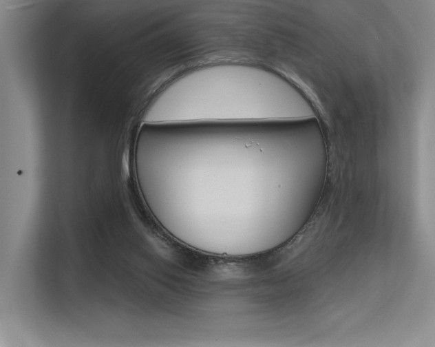 X0000113360062200909151015