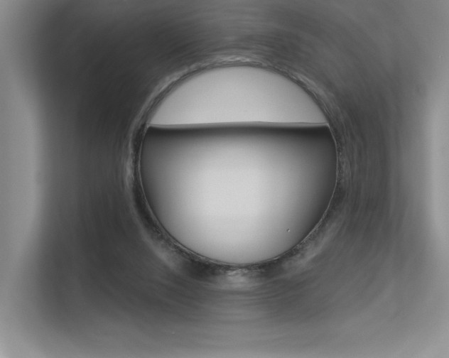 X0000113360064200909151015