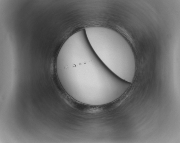 X0000113360065200909151015