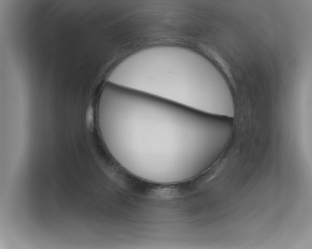 X0000113360067200909151015