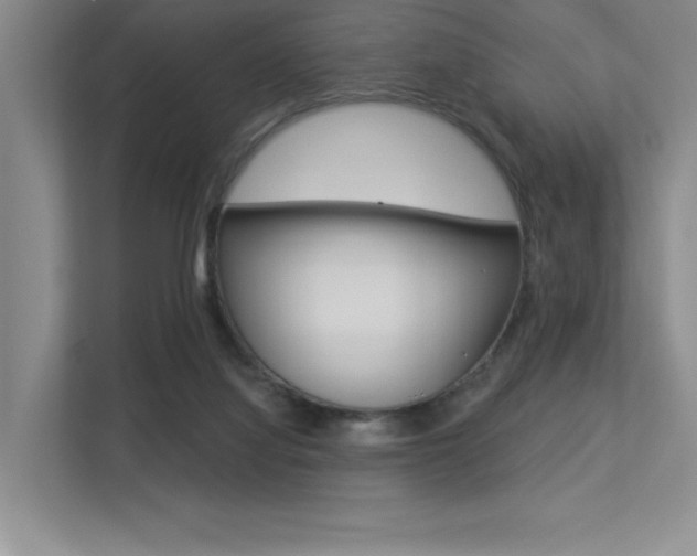 X0000113360068200909151015