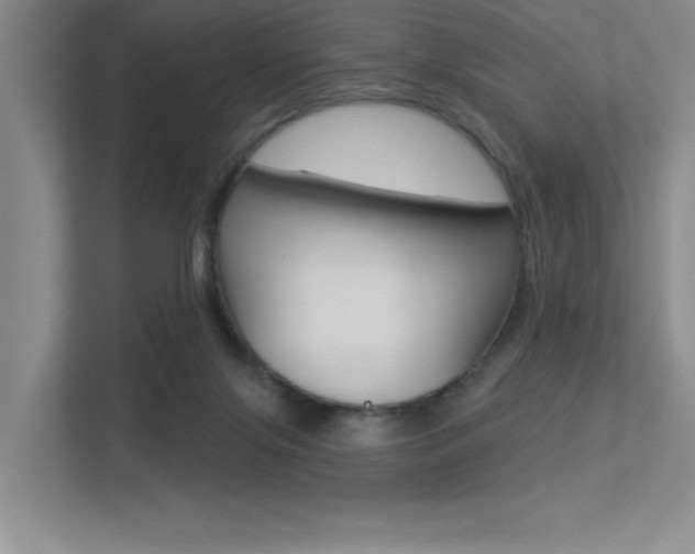 X0000113360071200909151015