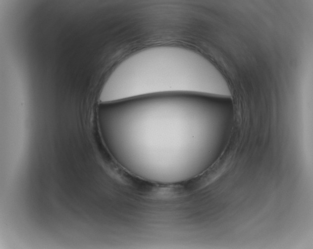 X0000113360072200909151015