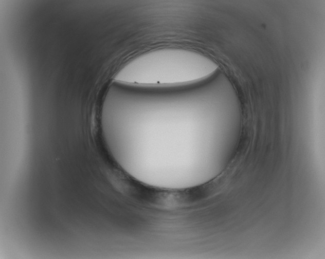 X0000113360074200909151015