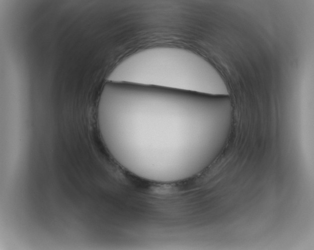 X0000113360079200909151015
