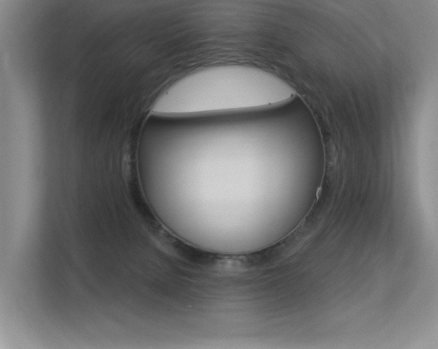 X0000113360080200909151015
