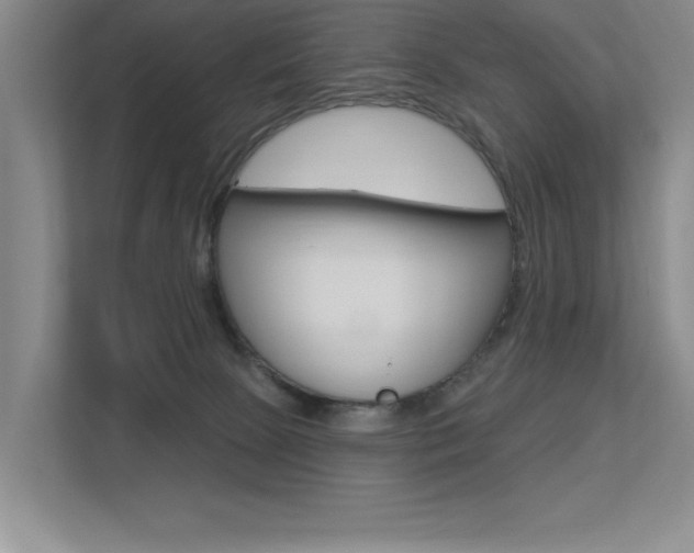 X0000113360081200909151015