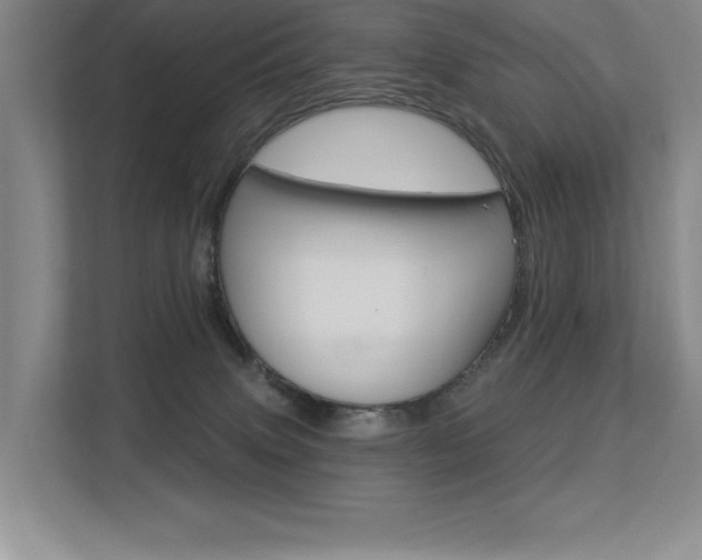 X0000113360083200909151015