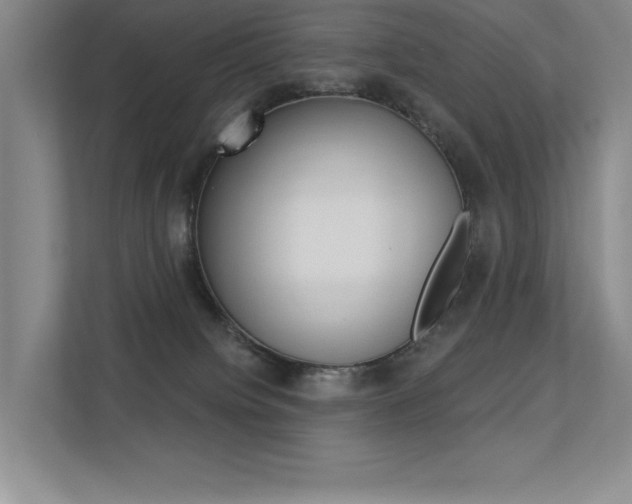X0000113360084200909151015