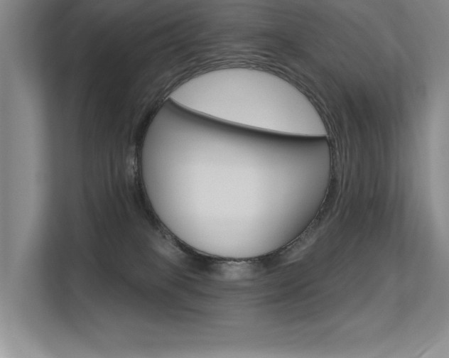 X0000113360085200909151015