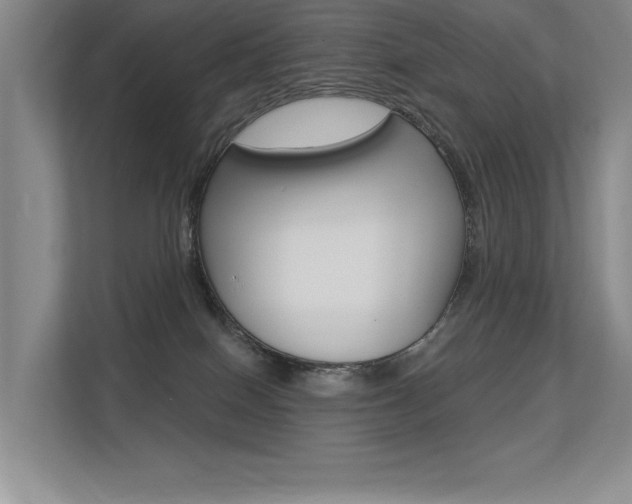 X0000113360086200909151015