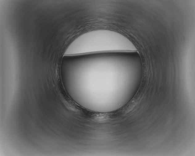 X0000113360088200909151015