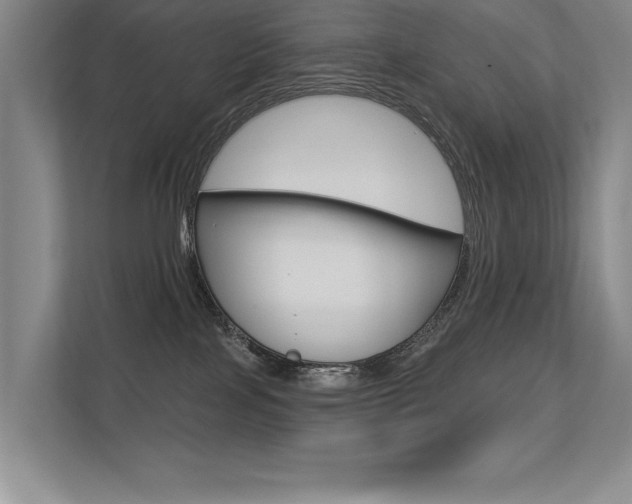 X0000113360089200909151015