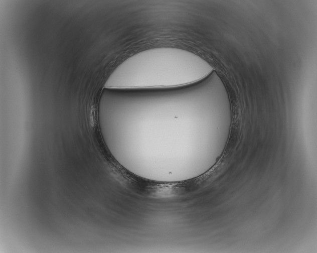 X0000113360090200909151015