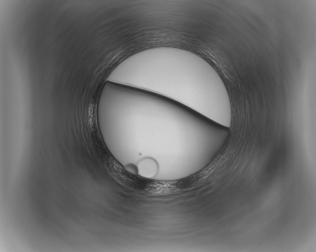 X0000113360093200909151015