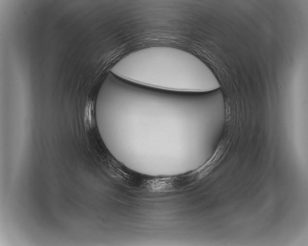 X0000113360094200909151015