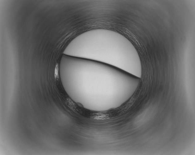 X0000113360095200909151015