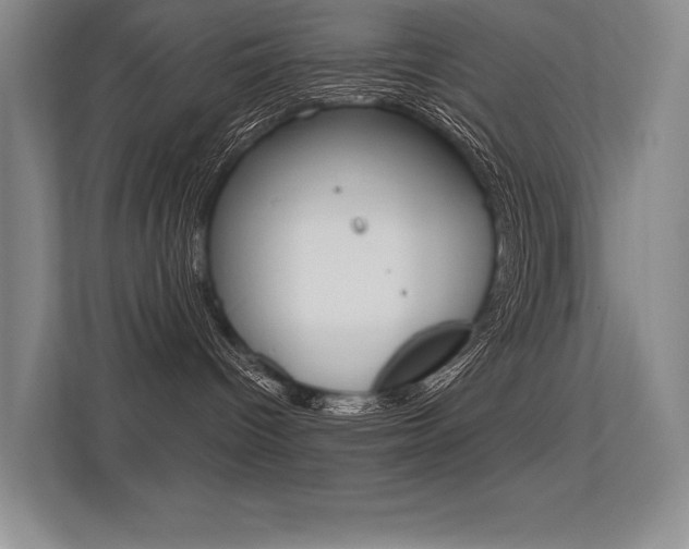 X0000113360096200909151015