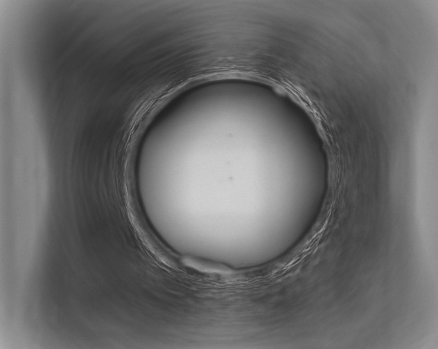 X0000113360097200909151015