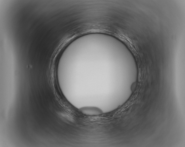 X0000113360098200909151015