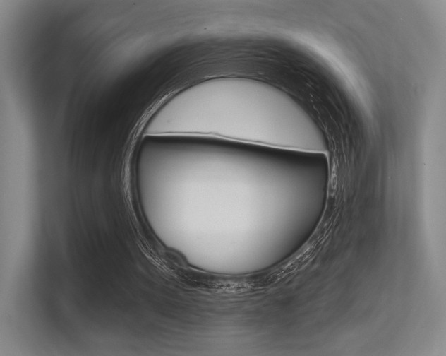 X0000113360099200909151015