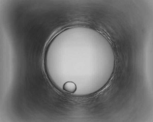 X0000113360101200909151015
