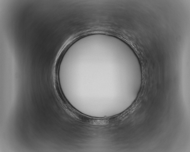 X0000113360102200909151015