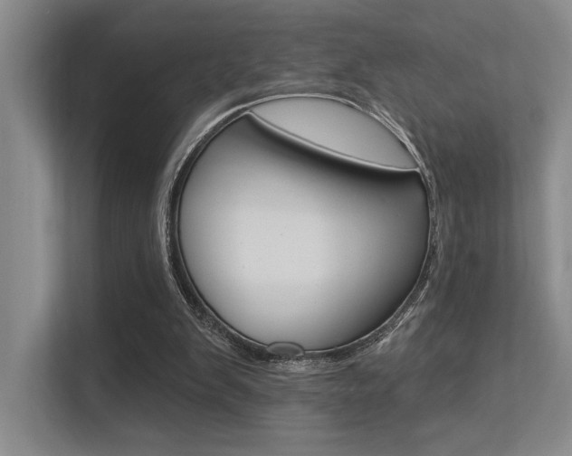 X0000113360103200909151014