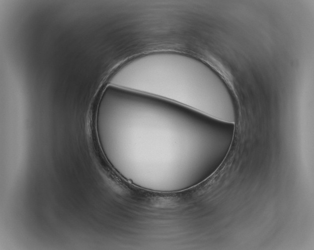 X0000113360107200909151014