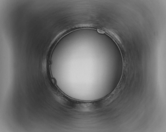 X0000113360108200909151014