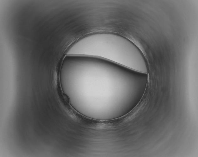 X0000113360109200909151014