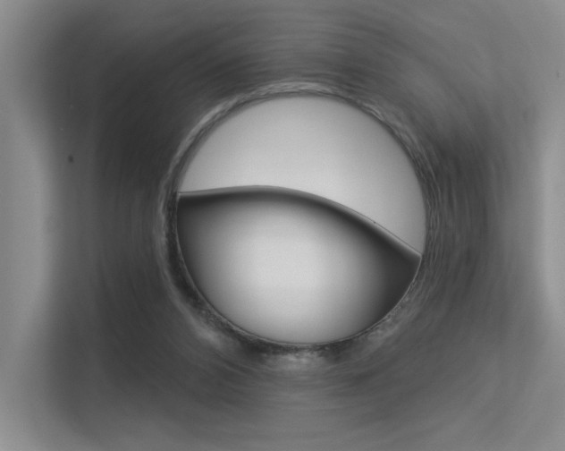 X0000113360112200909151014