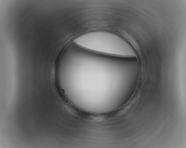 X0000113360113200909151014