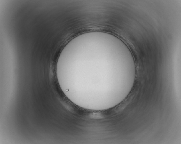 X0000113360114200909151014