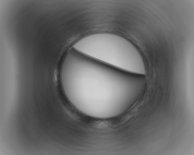 X0000113360115200909151014