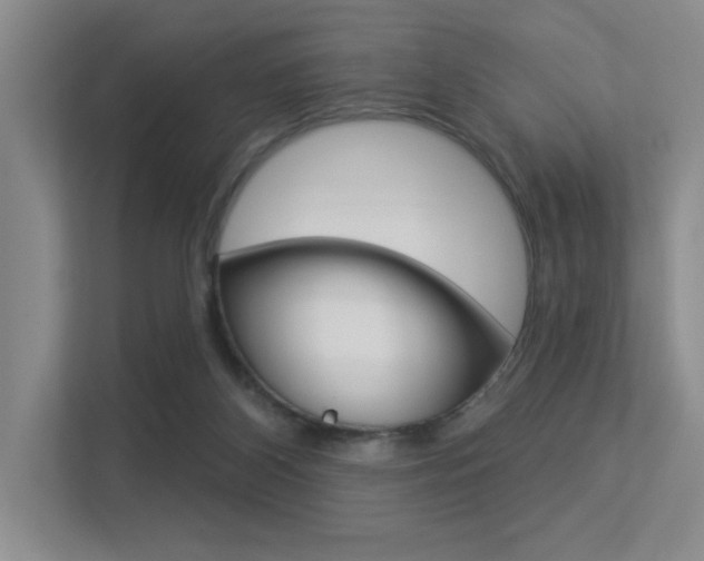 X0000113360116200909151014