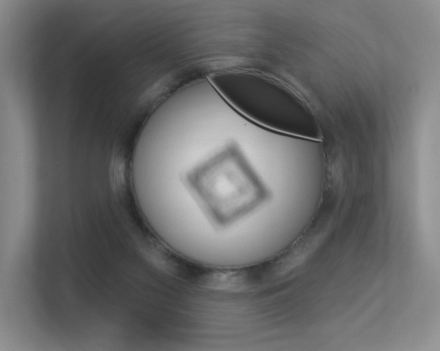 X0000113360117200909151014