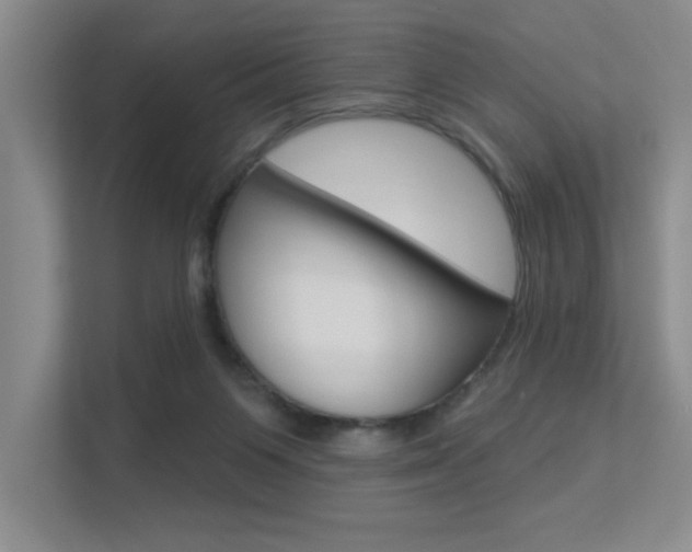 X0000113360119200909151014