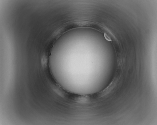 X0000113360124200909151014