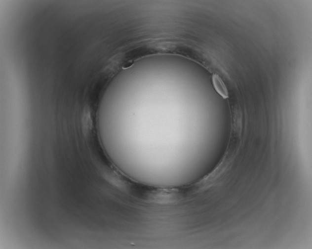 X0000113360128200909151014