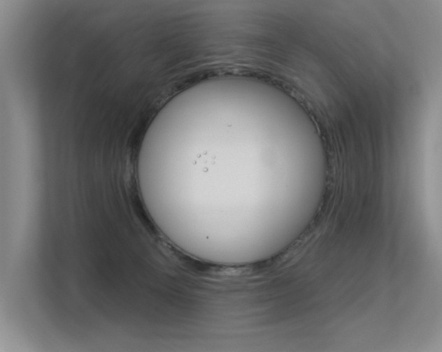 X0000113360129200909151014