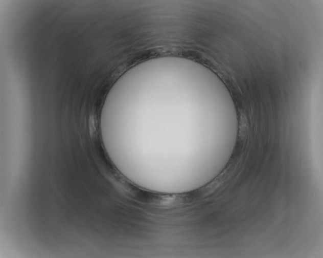 X0000113360130200909151014