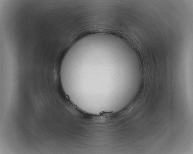 X0000113360131200909151014